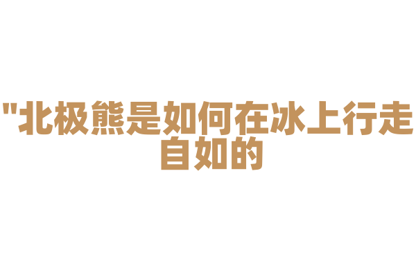 "北极熊是如何在冰上行走自如的？"